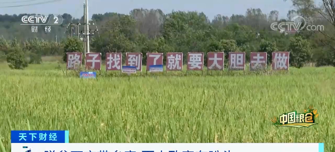 一日三千小生意（河南落地花生轻松日入3000）