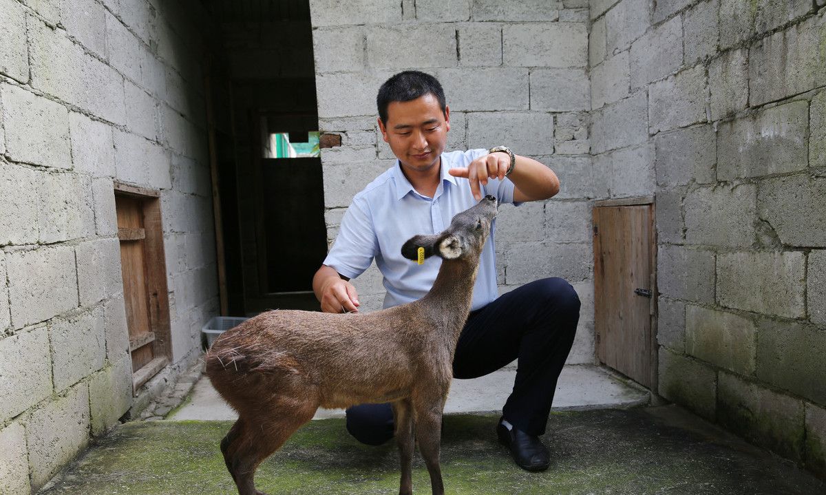 18年做小生意（陕西男子在山里做冷门生意身价达千万）