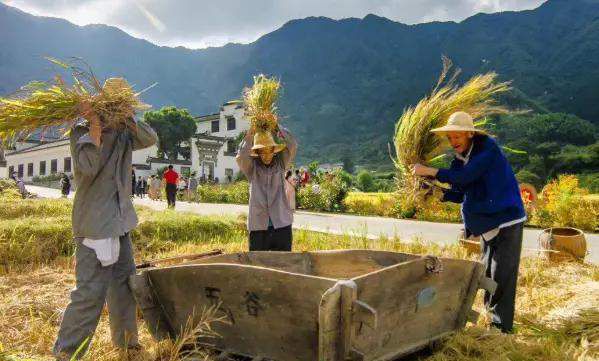 在农村不种地做点小生意行吗（农村前景好收入高的生意）